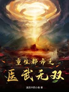 重生都市之医武无双