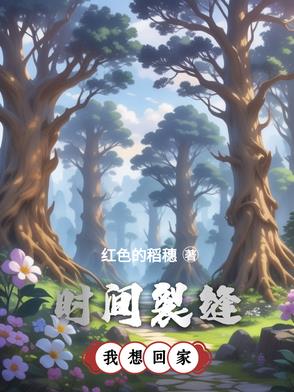 时间裂缝：我想回家