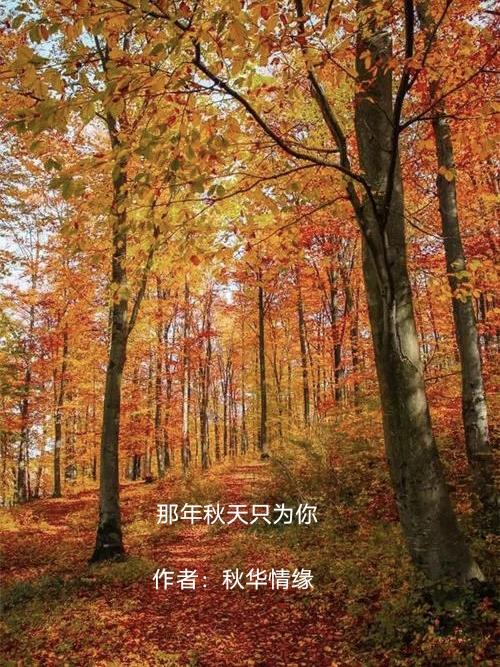 那年秋天只为你