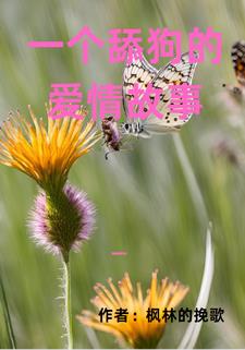 一个舔狗的爱情故事
